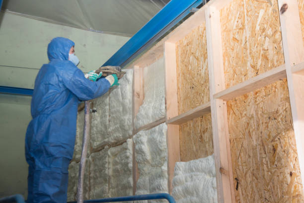 Insulation Repair Services in Somerset, KY